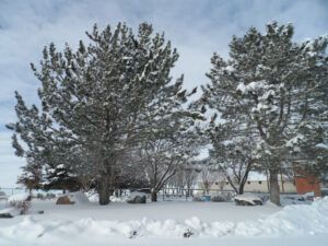 Snow in Utah