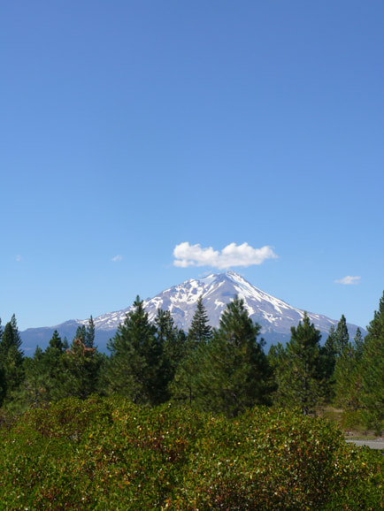 Mt. Shasta, CA