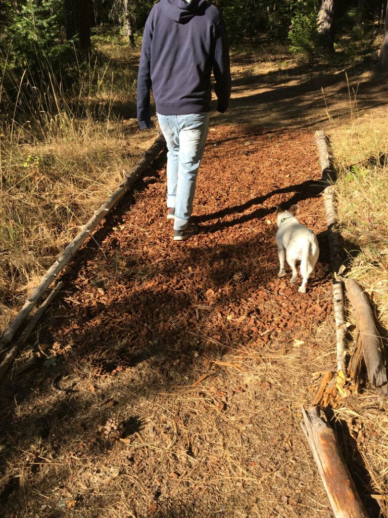 A Boy and His Dog